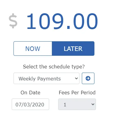 schedule payment